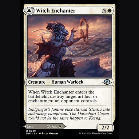 Witch Enchanter // Witch-Blessed Meadow - NM - No Foil - FR