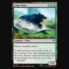 Large Bear - NM - No Foil - ES