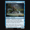 Mirkwood Meditator - NM - No Foil - EN