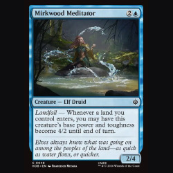Mirkwood Meditator - NM - Foil - EN