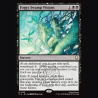 Foggy Swamp Visions - NM - No Foil - EN