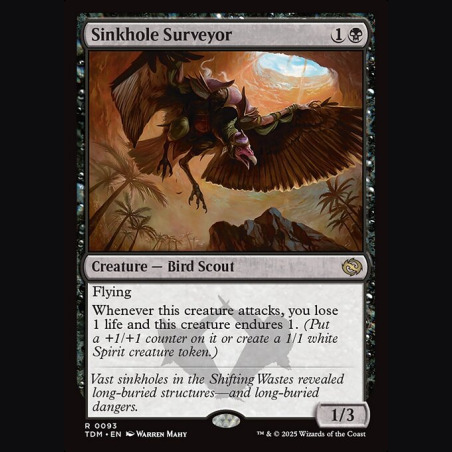 Sinkhole Surveyor - NM - No Foil - ES