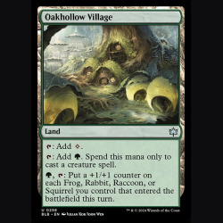 Oakhollow Village - NM - No Foil - EN