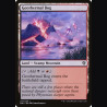 Geothermal Bog - NM - Foil - EN
