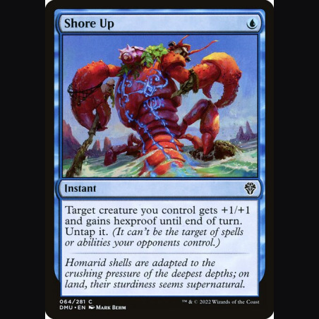 Shore Up - NM - No Foil - ES