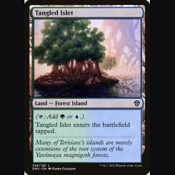 Tangled Islet - NM - No Foil - EN