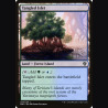 Tangled Islet - NM - No Foil - EN