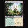 Radiant Grove - NM - No Foil - EN