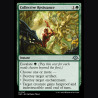 Collective Resistance - NM - No Foil - ES