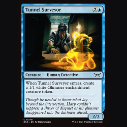 Tunnel Surveyor - NM - No Foil - ES