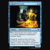 Tunnel Surveyor - NM - No Foil - ES