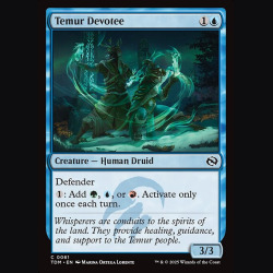 Temur Devotee - NM - No Foil - ES