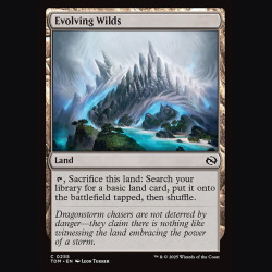 Evolving Wilds - NM - No Foil - EN