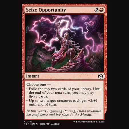 Seize Opportunity - NM - Foil - EN