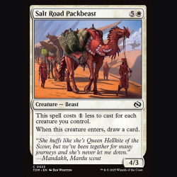 Salt Road Packbeast - NM - Foil - EN
