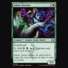 Sultai Devotee - NM - Foil - EN