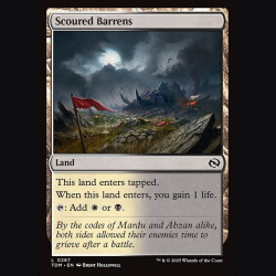 Scoured Barrens - NM - Foil - EN