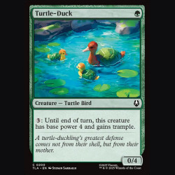 Turtle-Duck - NM - No Foil - ES
