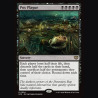 Pox Plague - NM - No Foil - EN