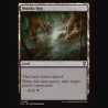 Bojuka Bog - NM - No Foil - ES