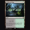 Viridescent Bog - NM - No Foil - ES