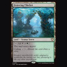 Festering Thicket - NM - No Foil - ES