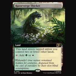 Razorverge Thicket - NM - No Foil - EN
