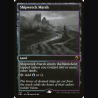 Shipwreck Marsh - NM - No Foil - EN