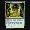 Say Its Name - NM - No Foil - EN