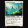 Southern Air Temple - NM - Foil - EN