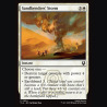 Sandbenders' Storm - NM - No Foil - EN