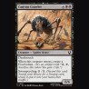 Canyon Crawler - NM - No Foil - EN