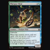 Platypus-Bear - NM - No Foil - EN