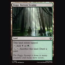 Foggy Bottom Swamp - NM - No Foil - EN