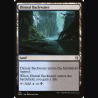 Dismal Backwater - NM - No Foil - EN