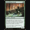 Springbloom Druid - NM - No Foil - EN