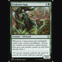 Evolution Sage - NM - No Foil - EN