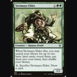 Yavimaya Elder - NM - No Foil - EN