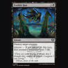 Foolish Fate - NM - No Foil - ES