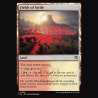 Fields of Strife - NM - Foil - EN