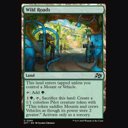 Wild Roads - NM - No Foil - EN