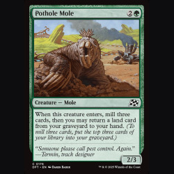 Pothole Mole - NM - No Foil - EN
