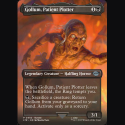 Gollum Patient Plotter - NM - Foil - EN