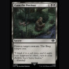 Claim the Precious - NM - No Foil - ES