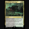 Rise of the Witch-king - NM - No Foil - EN