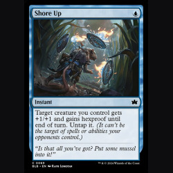 Shore Up - NM - No Foil - EN