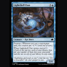 Lightshell Duo - NM - No Foil - ES