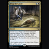 Drag the Canal - NM - No Foil - EN