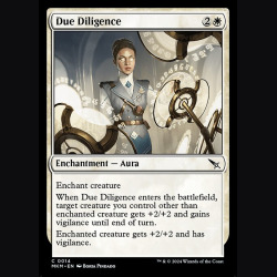 Due Diligence - NM - Foil - EN