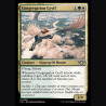 Congregation Gryff - NM - No Foil - ES